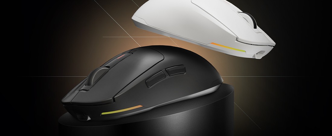 Darf ich vorstellen: GENESIS Zircon 660 Pro - eine Maus für Fans von kabelloser Kommunikation und geringem Gewicht