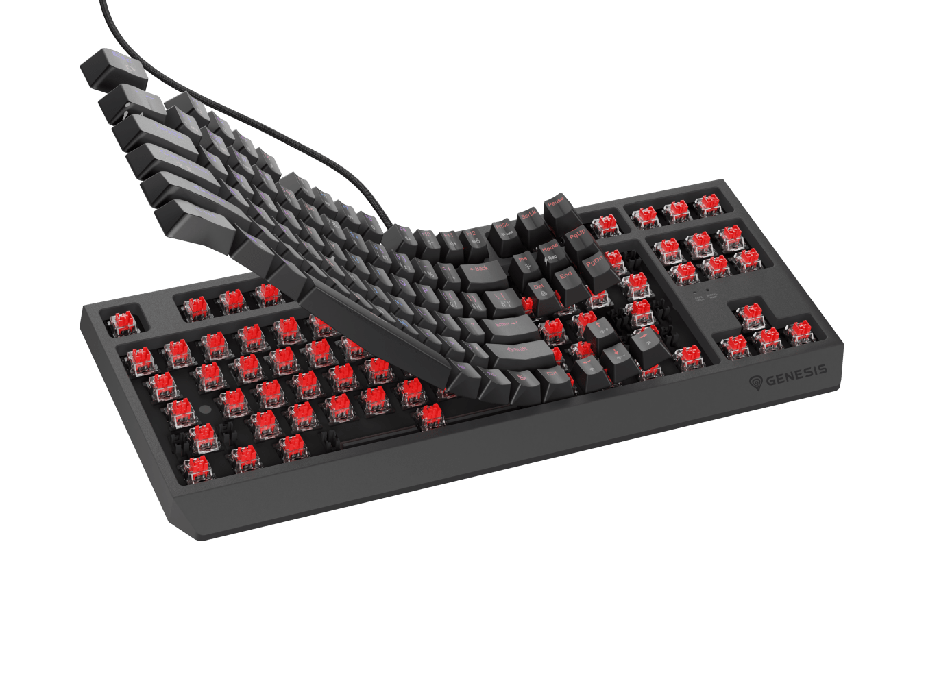 Genesis Thor 230 TKL
