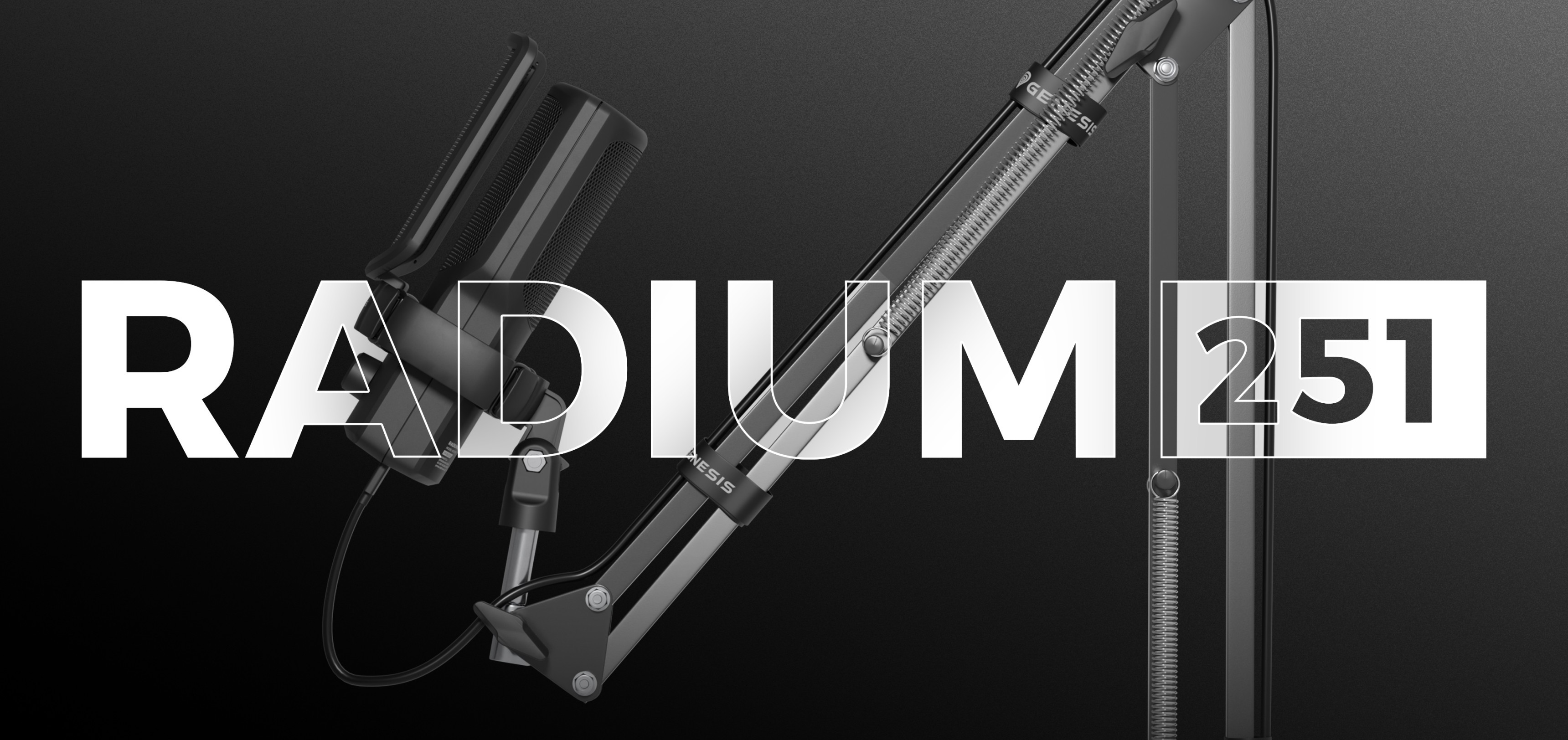 Schwarzes USB-Mikrofon an einem verstellbaren Arm mit fettgedruckter Aufschrift "RADIUM 251".