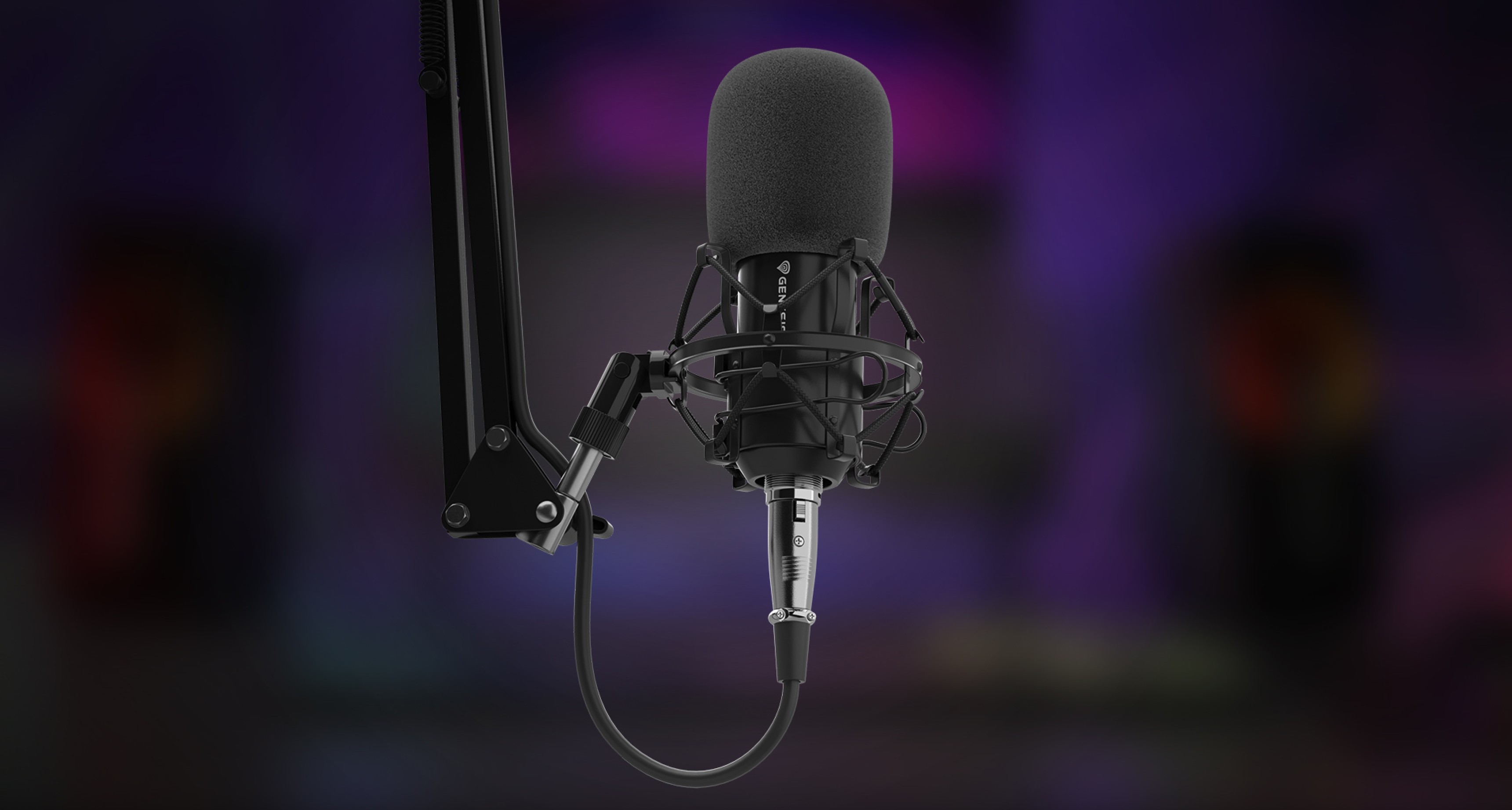 Professionelles Mikrofon auf einem verstellbaren Arm, mit Pop-Filter und XLR-Anschluss für den Einsatz im Studio