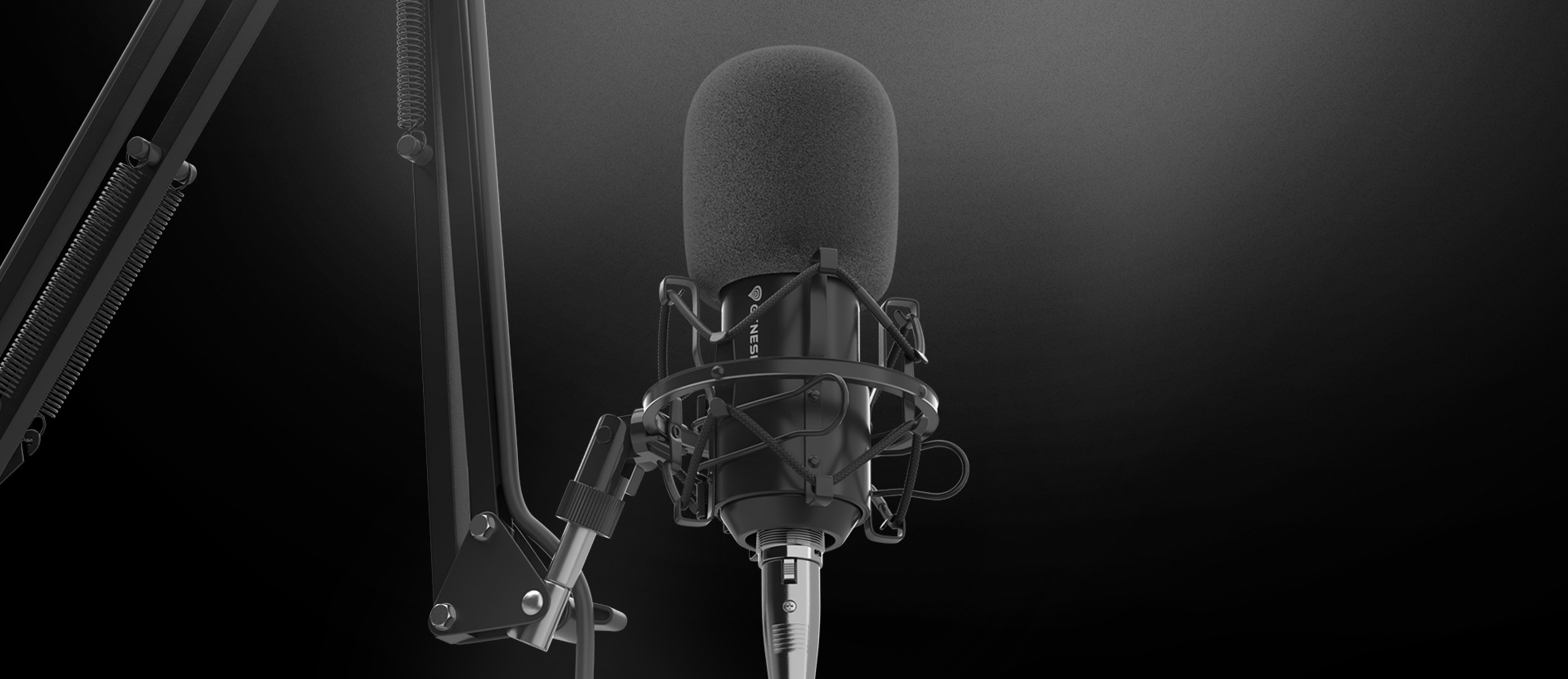 Professionelles Genesis Radium 300 Mikrofon auf einem verstellbaren Arm, mit Pop-Filter zur Rauschunterdrückung