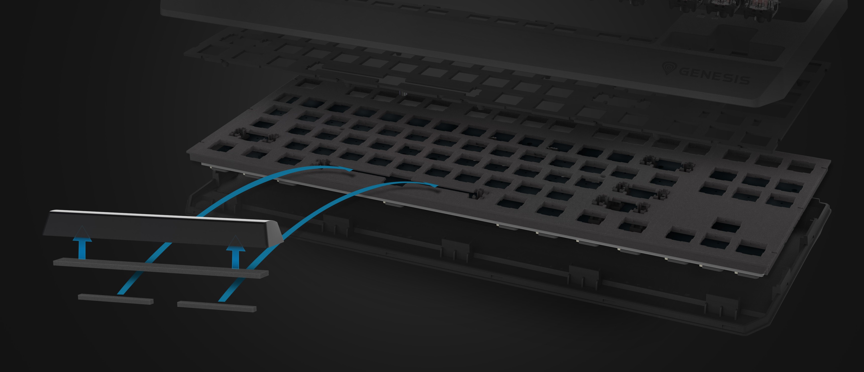 Nahaufnahme der mechanischen Tastatur Genesis Thor 230 TKL Lite mit den Hot-Swap-Schaltern und dem schwarzen Design