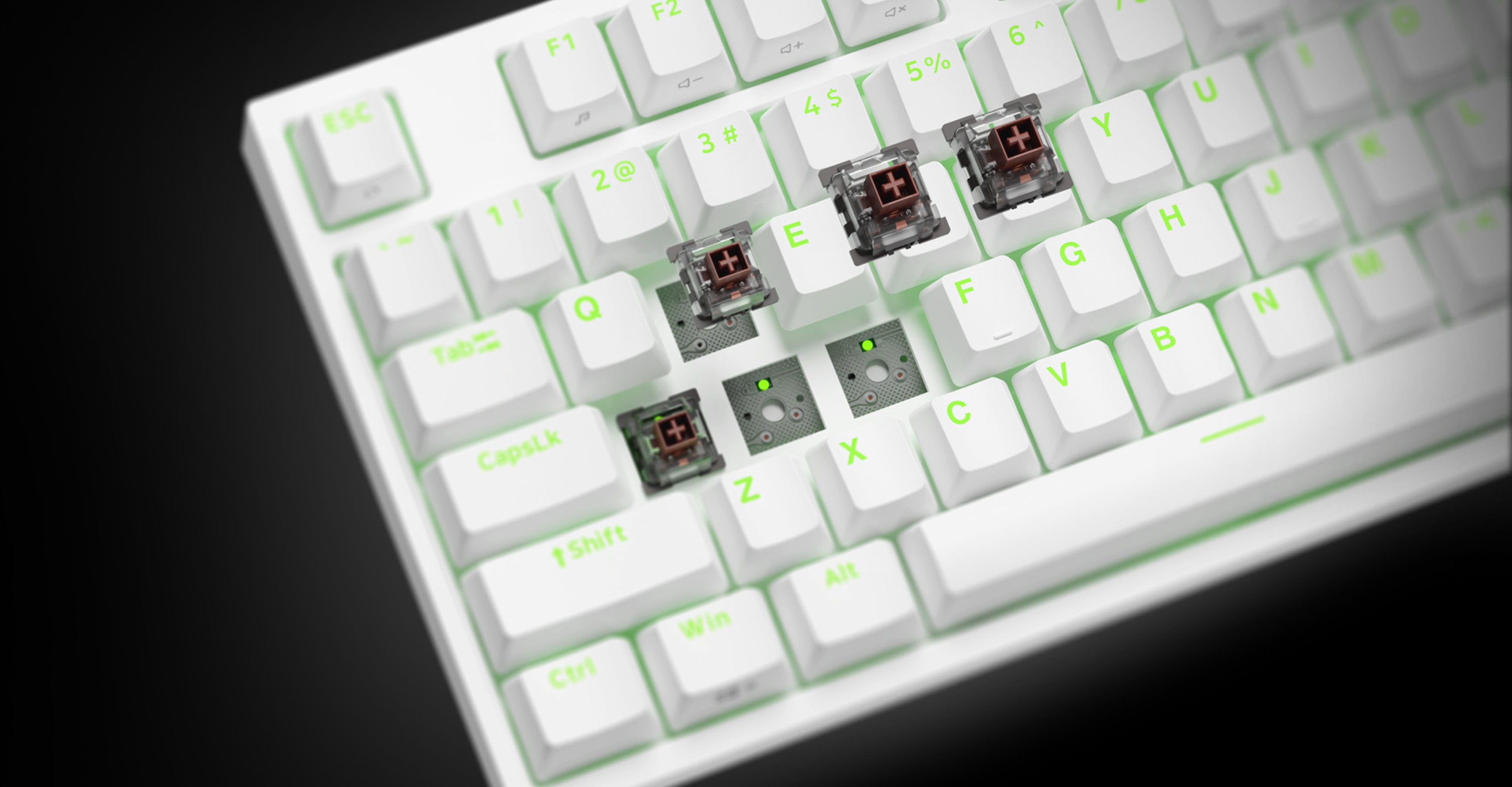 Tenkeylose mechanische RGB-Tastatur mit weißen Tasten und grüner Hintergrundbeleuchtung, mit Kailh Box Brown Schaltern