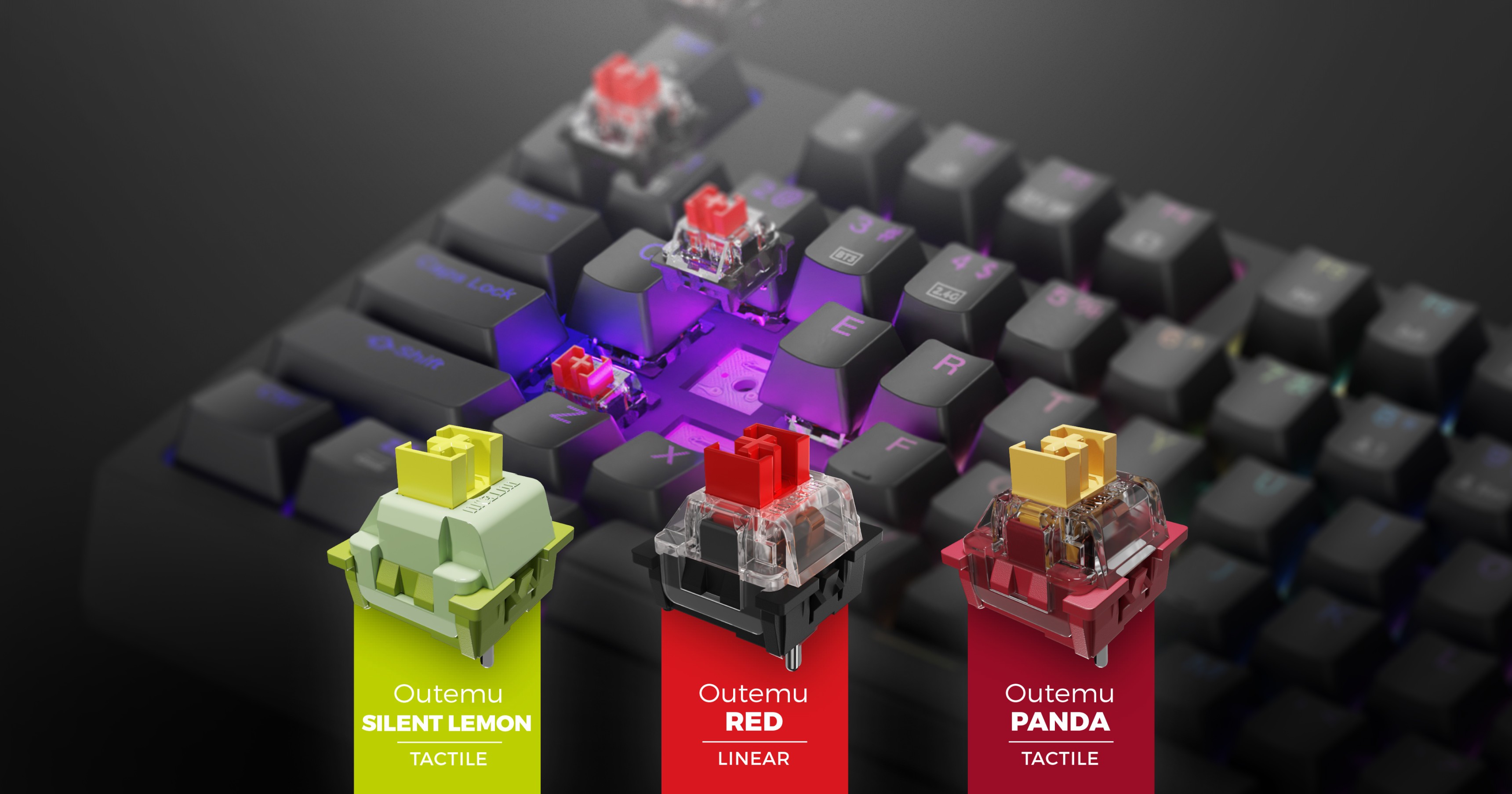 Nahaufnahme einer Gaming-Tastatur mit anpassbarer RGB-Beleuchtung und drei Arten von Outemu-Schaltern: Silent Lemon, Red und Panda