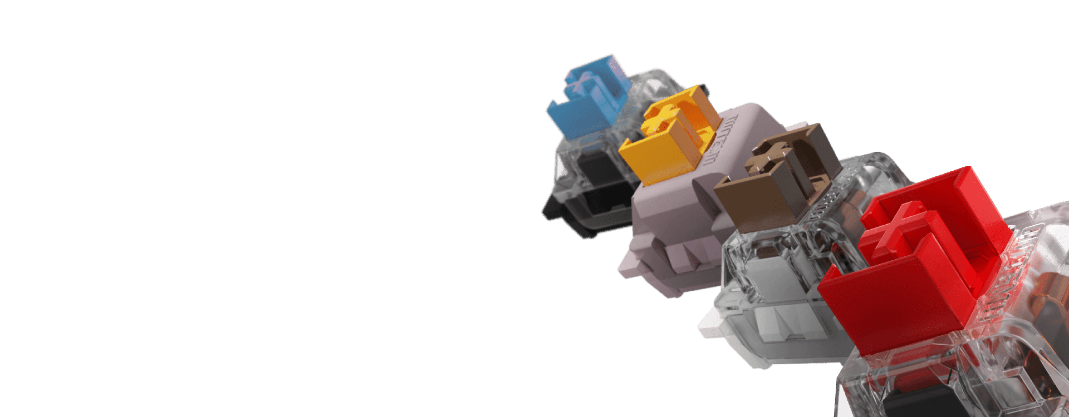 Eine Reihe bunter Double Shot Keycaps auf transparenten Sockeln mit verschiedenen Farben wie Blau, Gelb, Braun und Rot