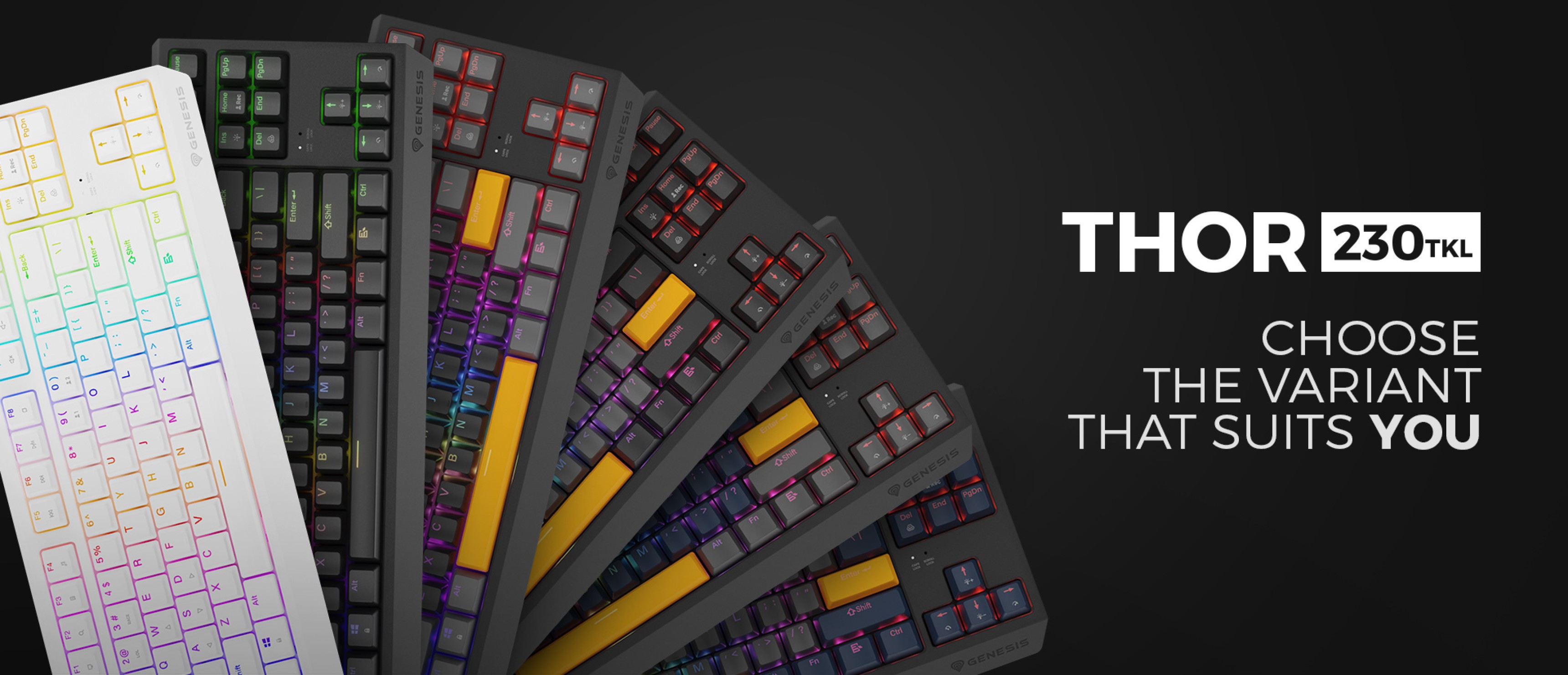 Verschiedene Modelle der mechanischen Gaming-Tastatur Genesis Thor 230 TKL mit unterschiedlichen Farben und Schaltertypen