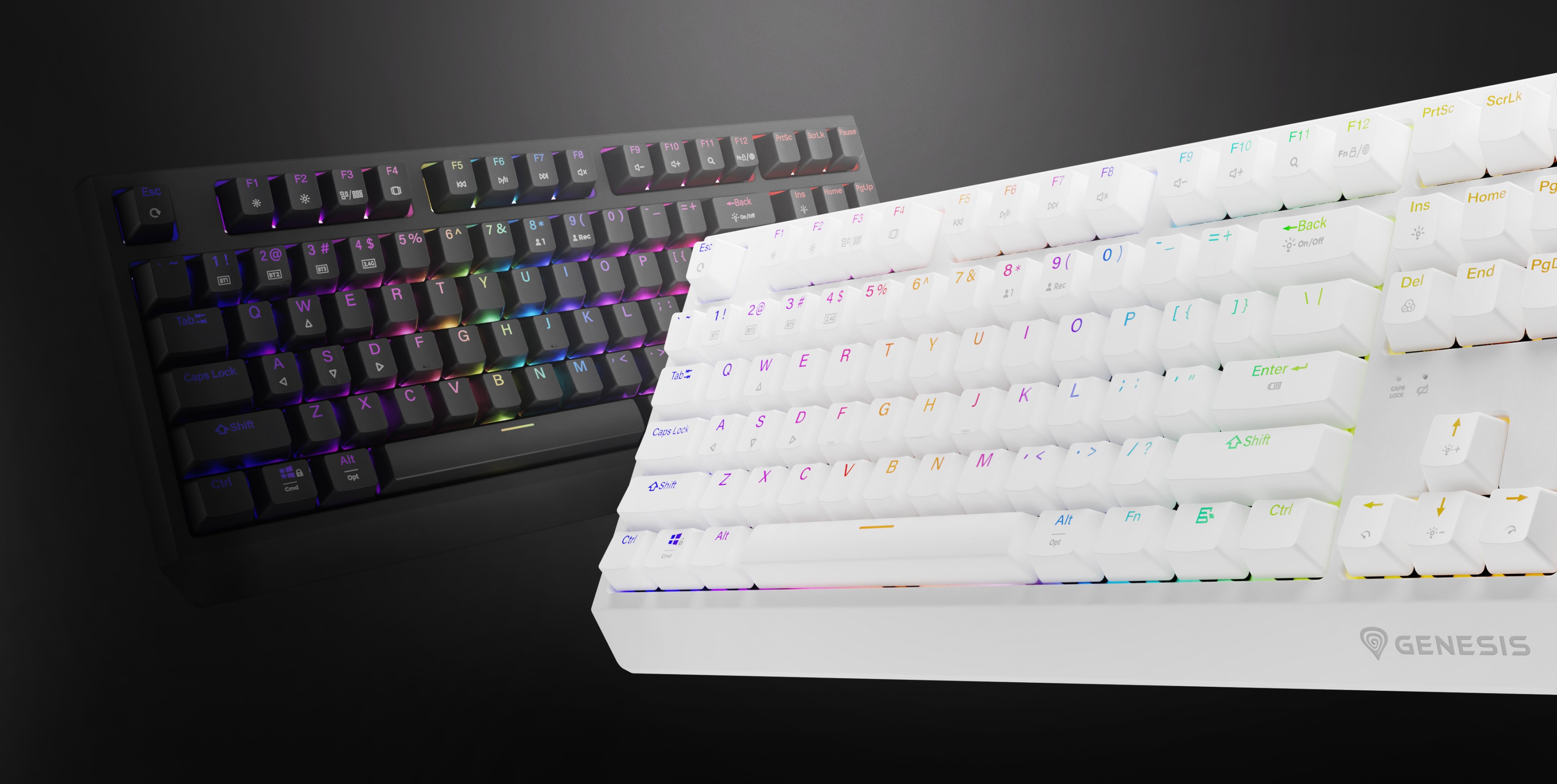 Zwei Genesis Thor 230 TKL drahtlose mechanische Tastaturen, eine schwarz und eine weiß, mit RGB-Hintergrundbeleuchtung